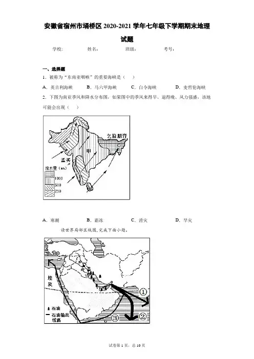 安徽省宿州市埇桥区2020-2021学年七年级下学期期末地理试题(word版 含答案)