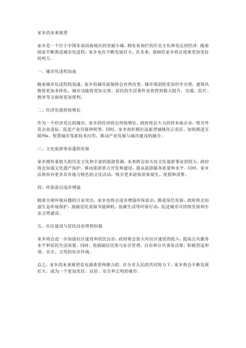 家乡的未来展望