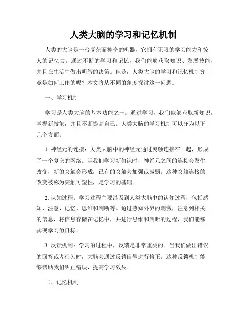 人类大脑的学习和记忆机制