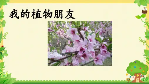 习作：我的植物朋友ppt课件