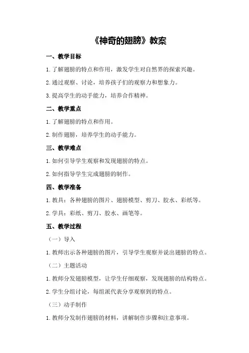中班主题《神奇的翅膀》教案
