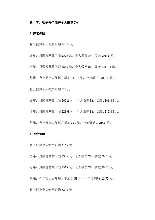 社保2013年