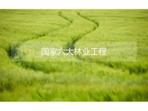 六大林业工程