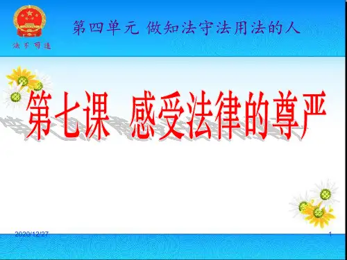 法不可违公开课 ppt课件