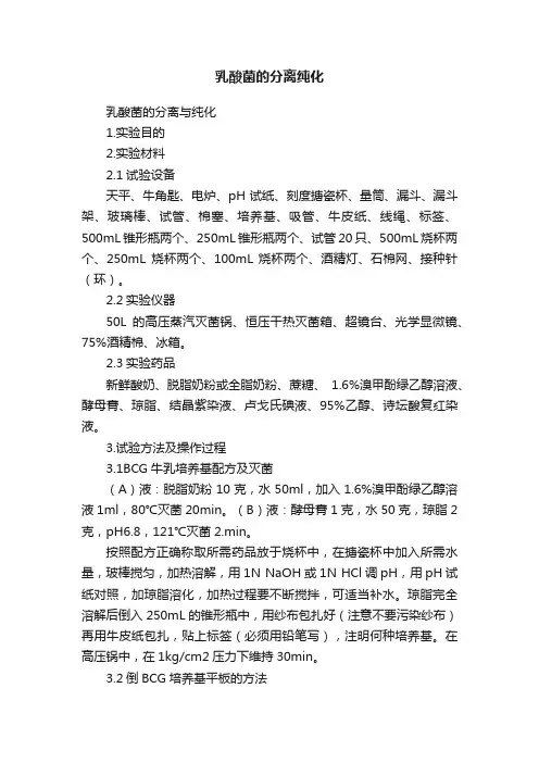 乳酸菌的分离纯化