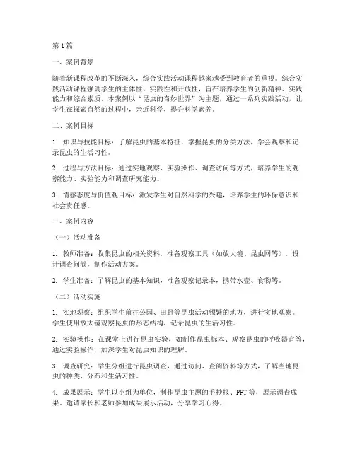 综合实践活动教学微案例(3篇)