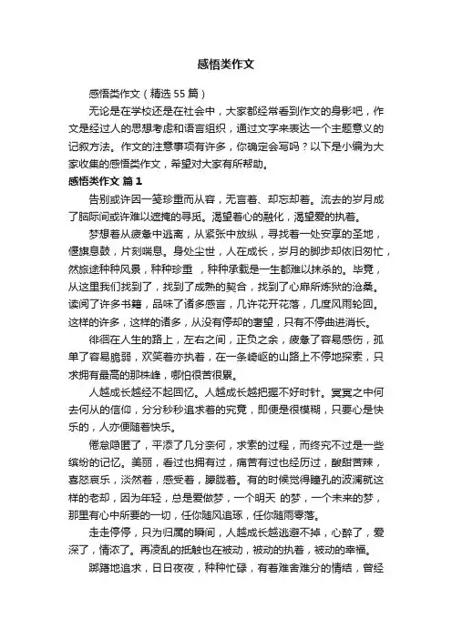 感悟类作文（精选55篇）