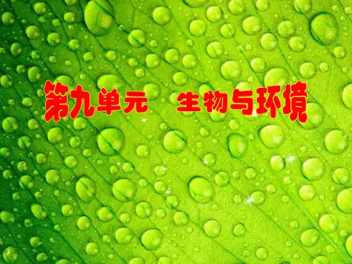 9-1种群的特征和数量关系