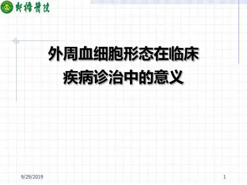 外周血细胞形态异常与临床的联系-精品文档111页