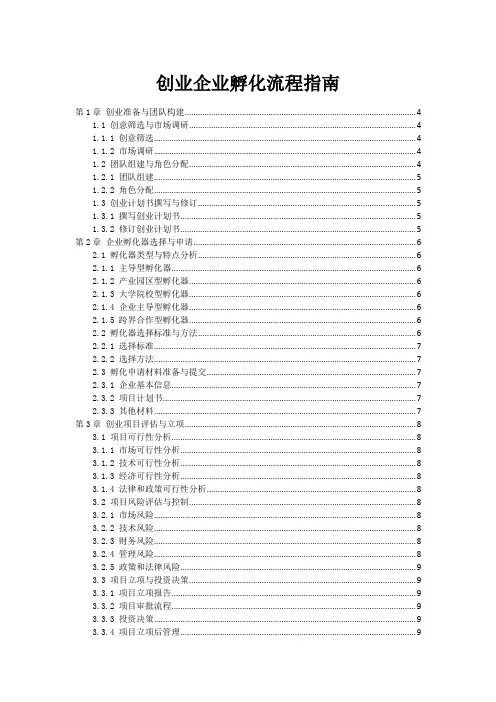 创业企业孵化流程指南