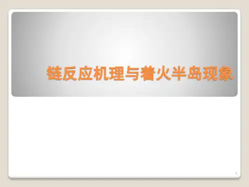 链反应机理与燃烧半岛现象PPT