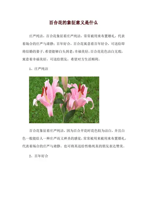 百合花的象征意义是什么