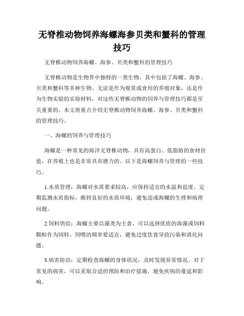无脊椎动物饲养海螺海参贝类和蟹科的管理技巧