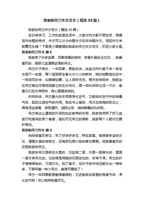 我家的吊兰作文范文（精选30篇）