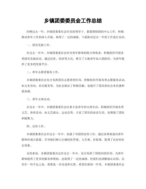 乡镇团委委员会工作总结