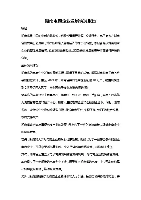 湖南电商企业发展情况报告