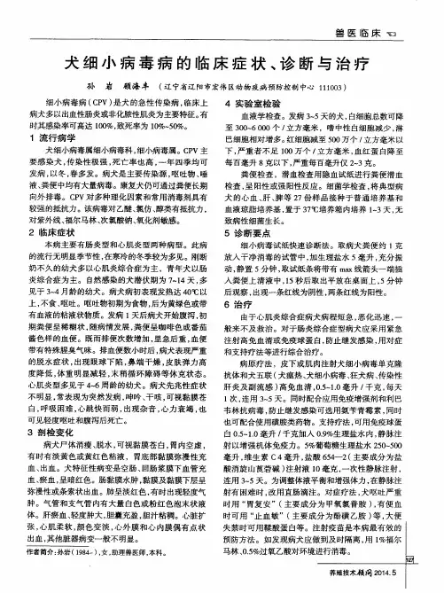 犬细小病毒病的临床症状、诊断与治疗