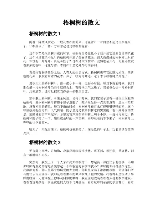 梧桐树的散文