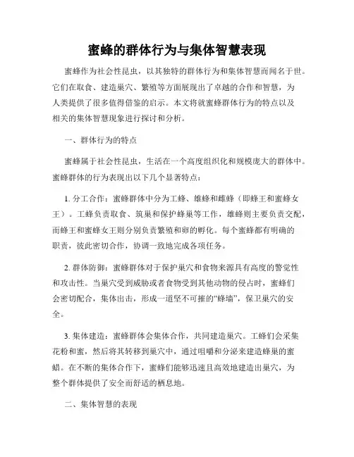 蜜蜂的群体行为与集体智慧表现