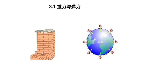 重力和弹力—【新版】人教版高中物理必修第一册课件
