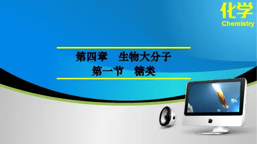 4-2糖类 (教学课件)-高中化学人教版(2019)选择性必修3