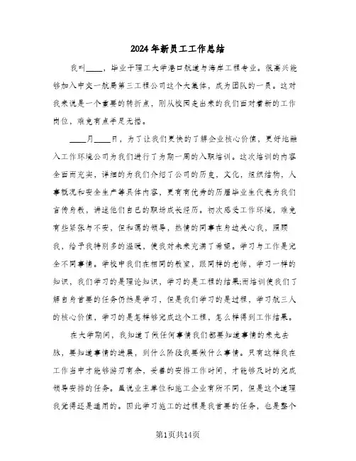 2024年新员工工作总结（5篇）