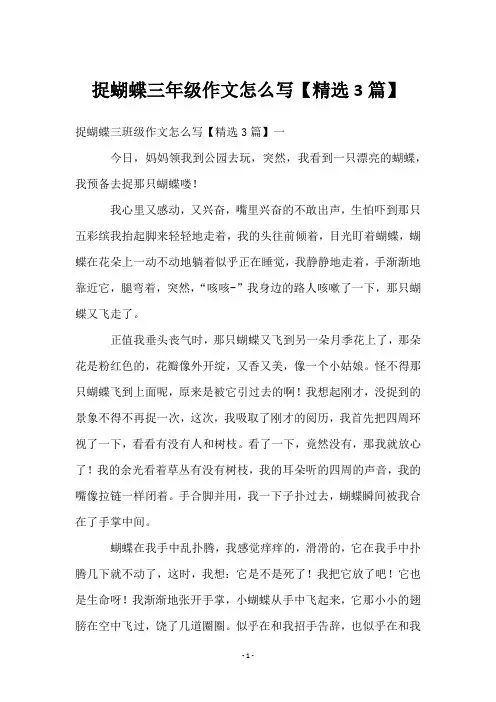 捉蝴蝶三年级作文怎么写【3篇】