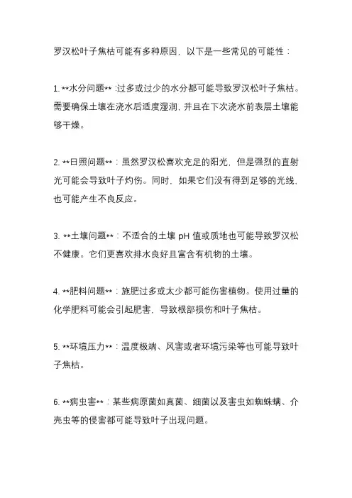 罗汉松叶子焦枯是什么原因？