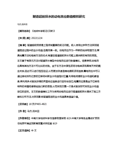 隧道超前探水的动电效应数值模拟研究