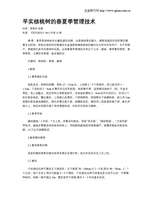 早实核桃树的春夏季管理技术