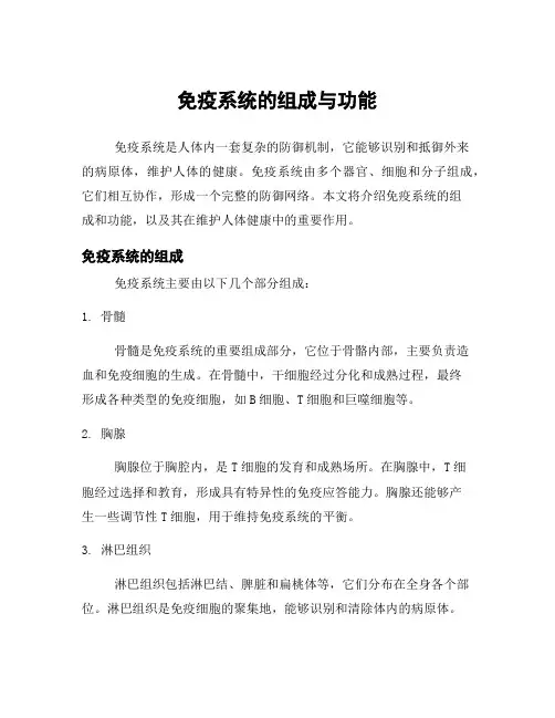 免疫系统的组成与功能
