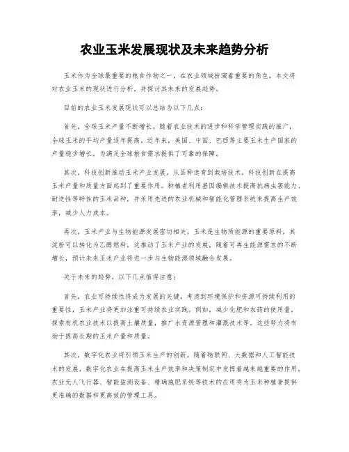 农业玉米发展现状及未来趋势分析