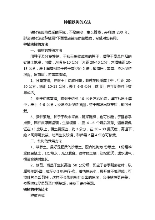 种植铁树的方法