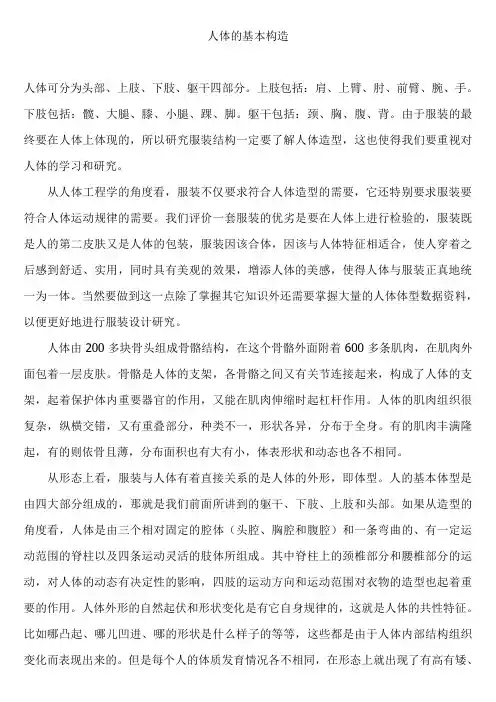 人体的基本构造