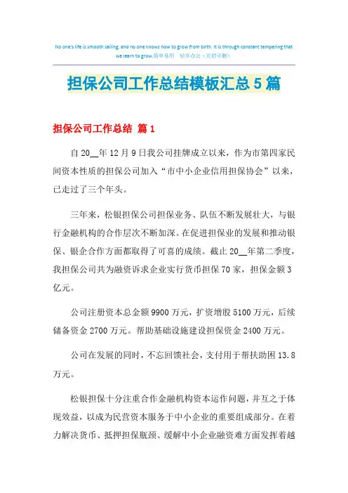 2021年担保公司工作总结模板汇总5篇