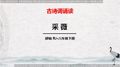 《采薇》语文教学PPT课件(3篇)