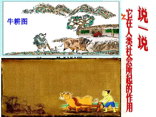 新版人教部编版九年级上册历史课件第20课第一次工业革命