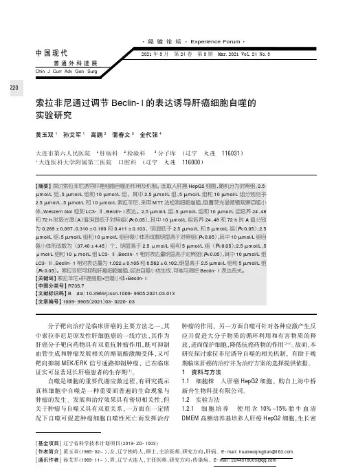 索拉非尼通过调节Beclin-l的表达诱导肝癌细胞自噬的实验研究