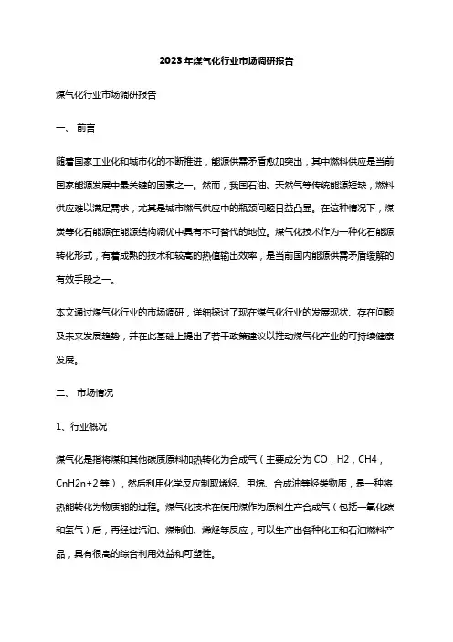 2023年煤气化行业市场调研报告