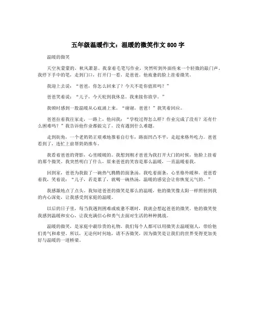 五年级温暖作文：温暖的微笑作文800字