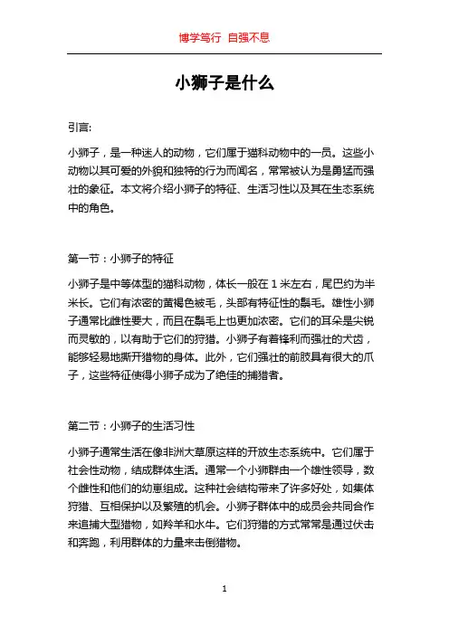 小狮子是什么
