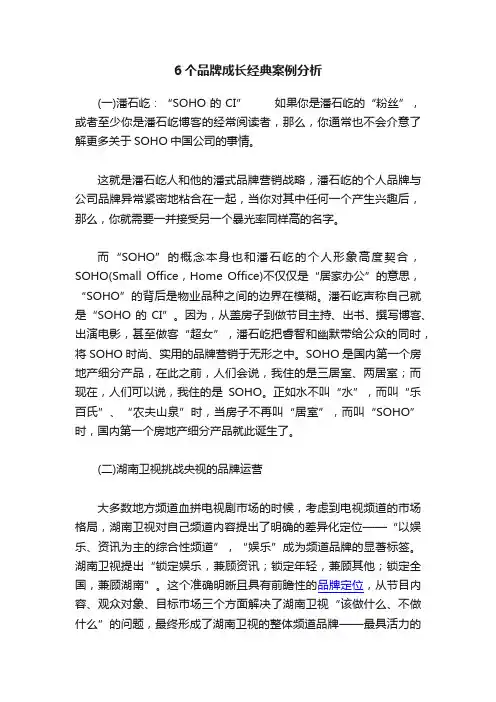 6个品牌成长经典案例分析