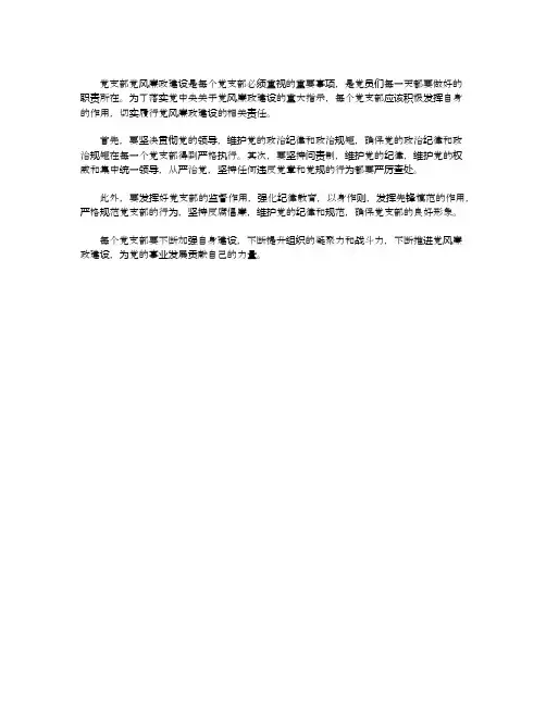 党支部党风廉政建设