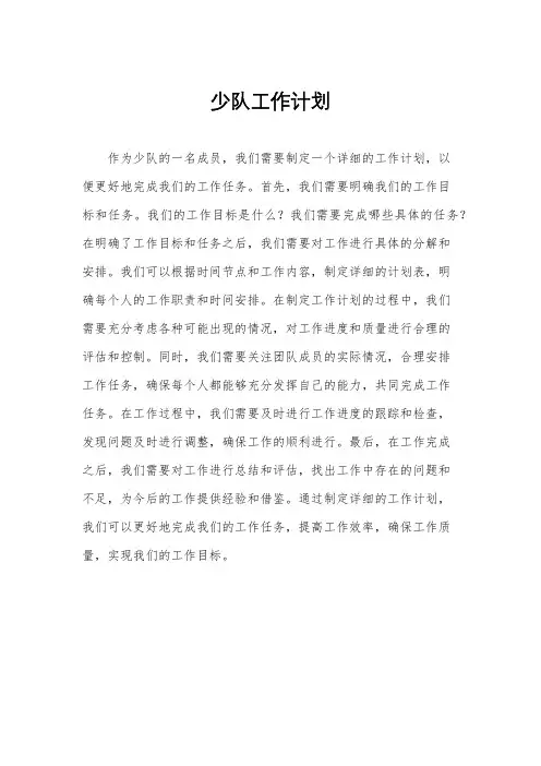 少队工作计划