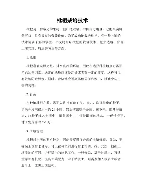 枇杷栽培技术