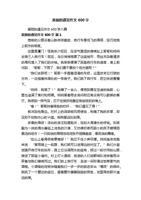 美丽的遇见作文600字八篇
