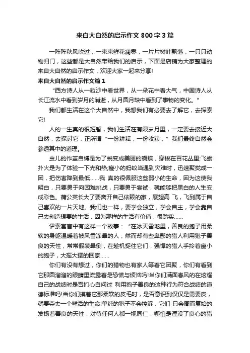 来自大自然的启示作文800字3篇