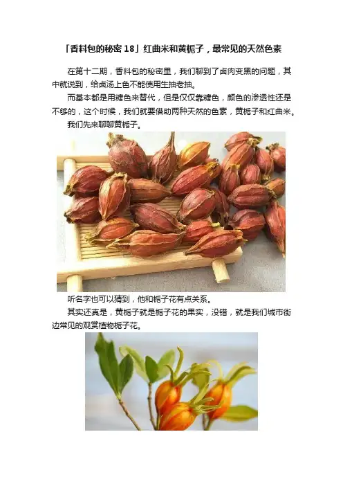 「香料包的秘密18」红曲米和黄栀子，最常见的天然色素
