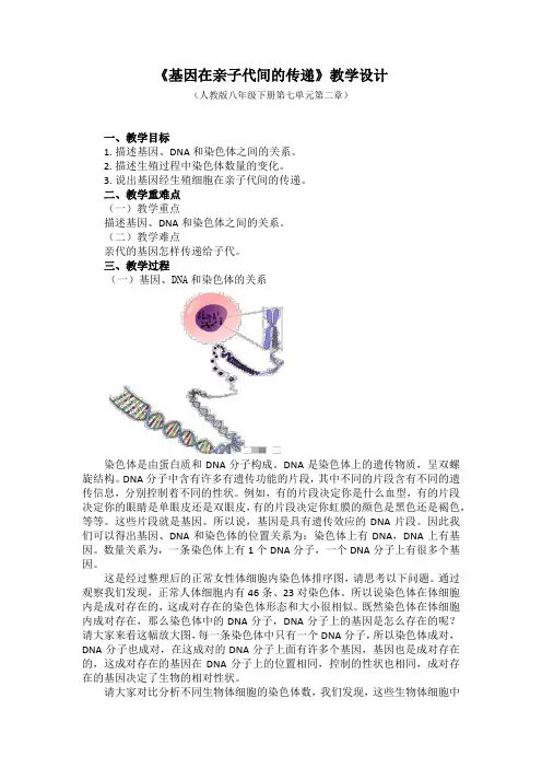 初中二年级下学期生物《基因在亲子代间的传递》教学设计