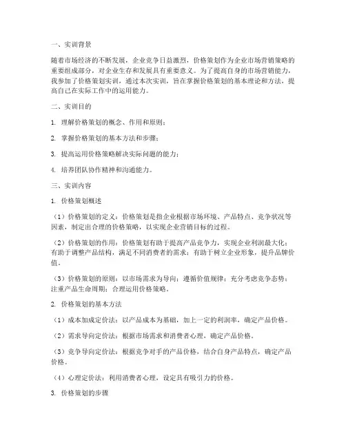 价格策划实训报告